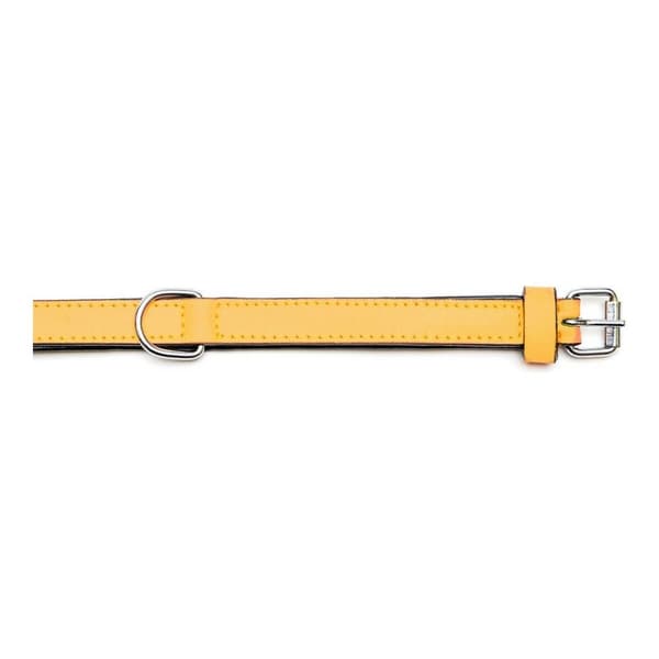 Hundhalsband Gloria Vadderad Gul (45 x 2 cm)