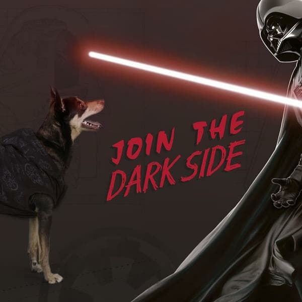 Hundtröja Star Wars XS Svart