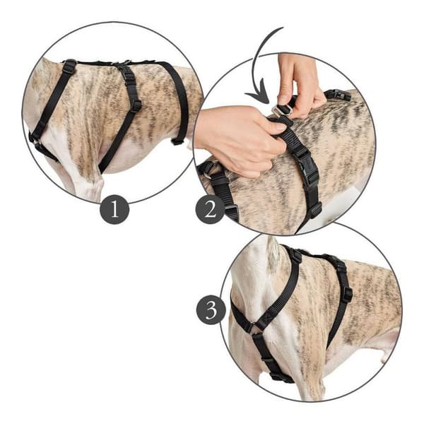 Hundsele Hunter 38-52 cm Brun Svart XS/S