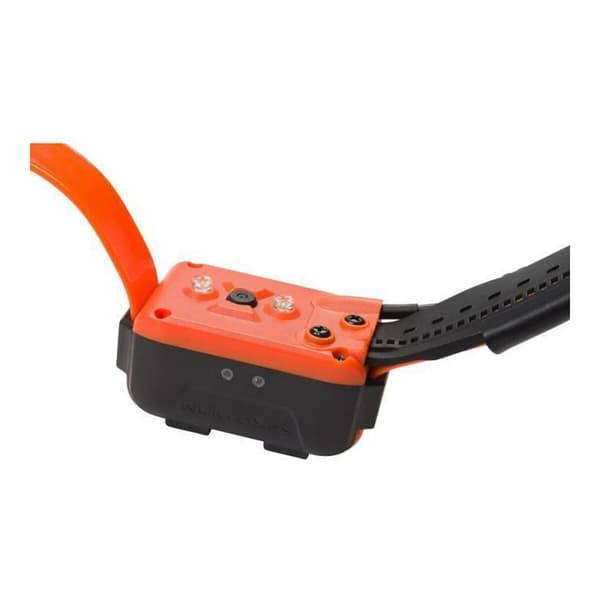 Hundhalsband Num'Axes Canicom GPS GEO1047
