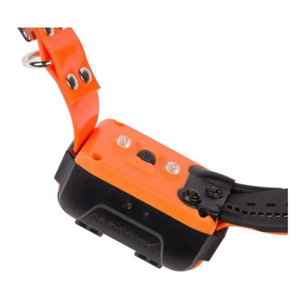 Hundhalsband Num'Axes Canicom GPS GEO1047