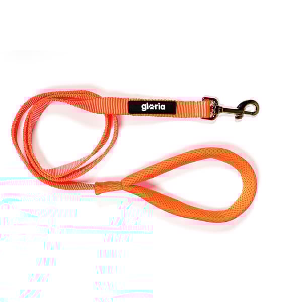 DoHundkoppel Gloria Orange S