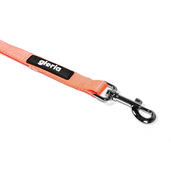 DoHundkoppel Gloria Orange S