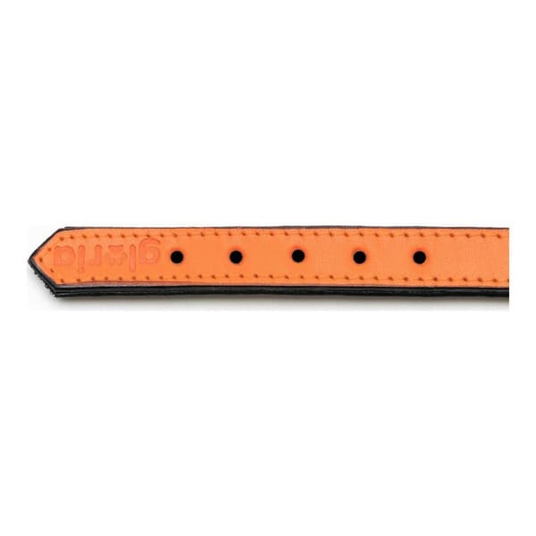 Hundehalsbånd Gloria Med puder Orange (45 x 2 cm)