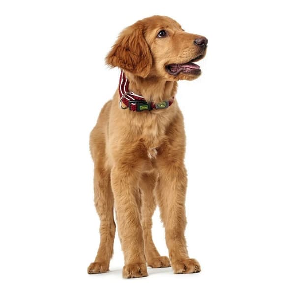 Hundehalsbånd Hunter Plus Gevind Rød Størrelse L (40-60 cm)