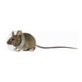 Pikkukuva 1 / 2: Kauluri jyrsijälle KVP Läpinäkyvä 2.5-3.2 cm