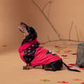 Pikkukuva 4 / 9: Koiran takki Minnie Mouse - xxs