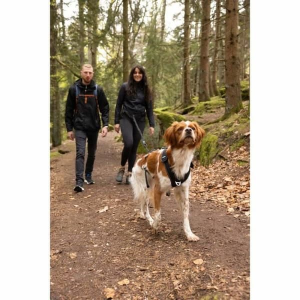 Hundesele SYMBIOZ Sort XL