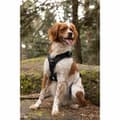 Miniatyrbillede 5 af 6: Hundesele SYMBIOZ Sort XL
