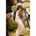 Miniatyrbild 4 av 6: Hundsele SYMBIOZ Svart L