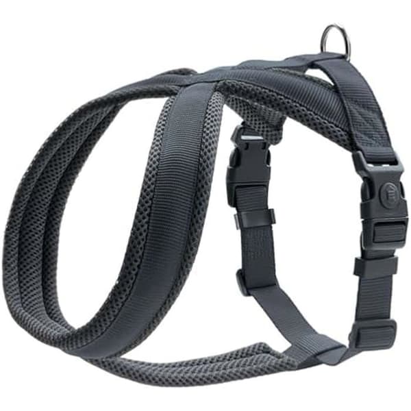 Hundsele - HUNTER - London Comfort - Rivsäker polyester - Mjuk stoppning - Storlek S-M