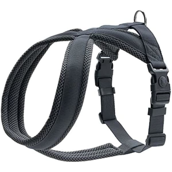London Comfort Vadderad hundsele - HUNTER - Storlek 57-70 cm - Svart - Utomhus