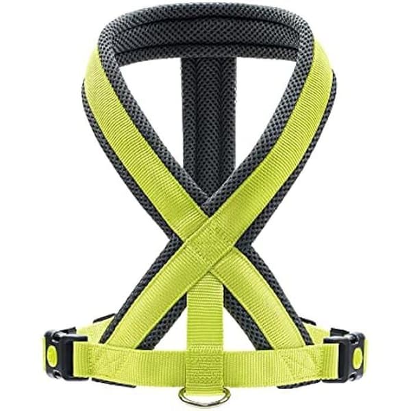 Hundsele - HUNTER - London Comfort - Rivsäker polyester - Mjuk stoppning - Storlek M