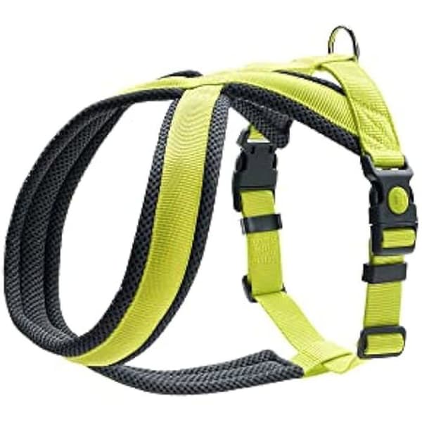 Hundsele - HUNTER - London Comfort - Rivsäker polyester - Mjuk stoppning - Storlek M