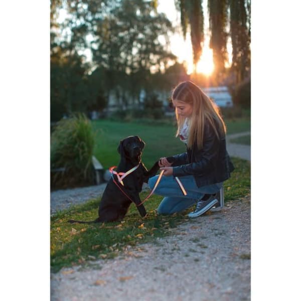 Kerbl reflekterande norsk hundsele - orange - 65/85 cm