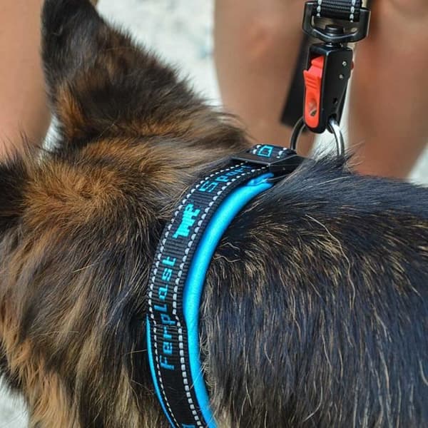 STRIPHTML(Ferplast SPORT DOG C Halsband för hundar med mjuk stoppning. Olika storlekar och fluorescerande färger. C25/55 - A: 45÷55