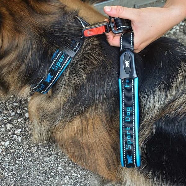 STRIPHTML(Ferplast SPORT DOG C Halsband för hundar med mjuk stoppning. Olika storlekar och fluorescerande färger. C25/55 - A: 45÷55