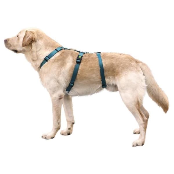 Kerbl Miami hundsele - bensin - 38/52 cm