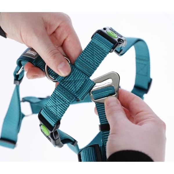 Kerbl Miami hundsele - bensin - 38/52 cm