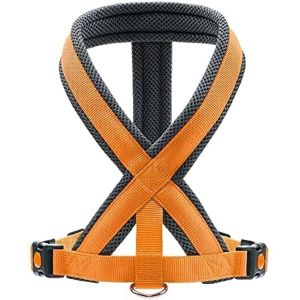 Hunter London Comfort Sele