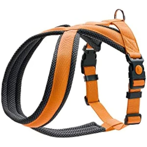 Hunter London Comfort Sele