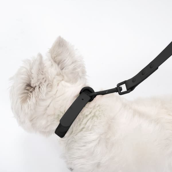 SNOR OG HALSBÅND PJ-071 M BLACK