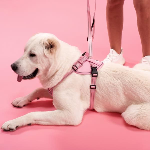 SNORE OG SELER PJ-060 L PINK