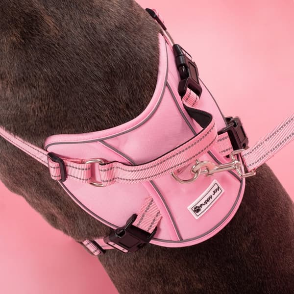 SNORE OG SELER PJ-060 L PINK