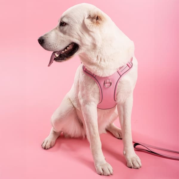 SNORE OG SELER PJ-060 L PINK