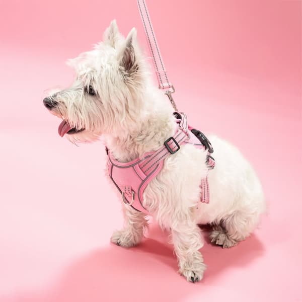 SNORE OG SELER PJ-052 S PINK