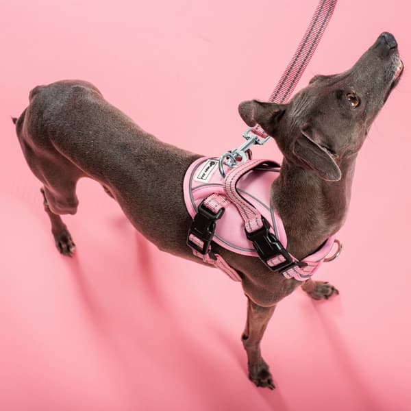 SNORE OG SELER PJ-052 S PINK