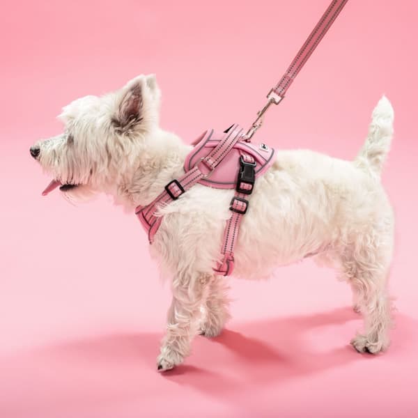 SNORE OG SELER PJ-052 S PINK