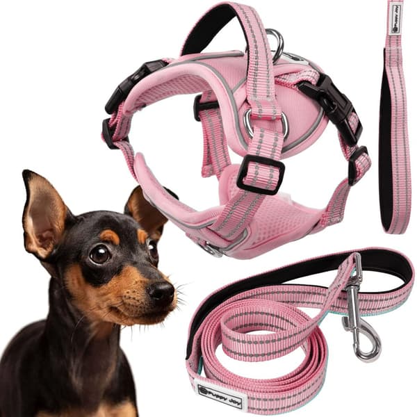 KOPPLEN OCH SELAR PJ-052 S PINK