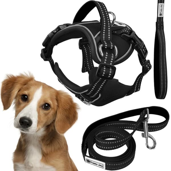 SNORE OG SELER PJ-055 M BLACK