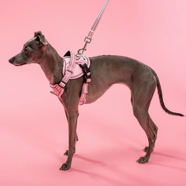 SNORE OG SELER PJ-056 M PINK