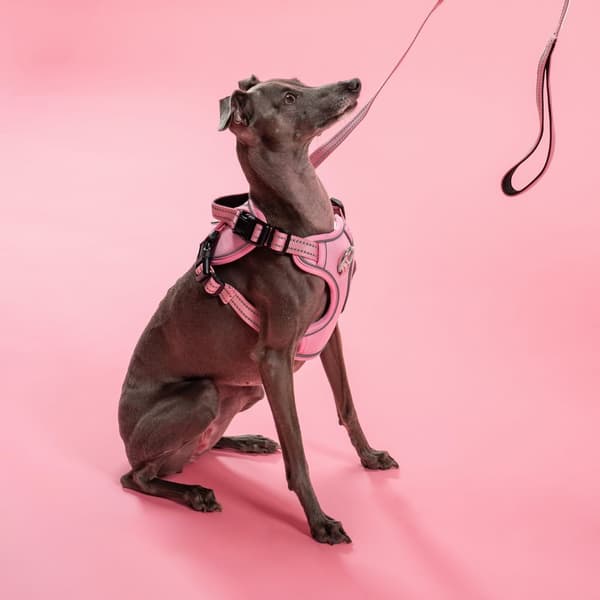 SNORE OG SELER PJ-056 M PINK