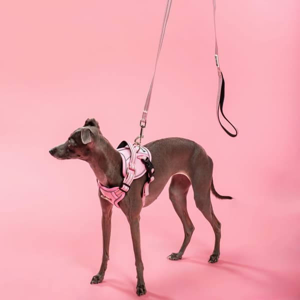 SNORE OG SELER PJ-056 M PINK