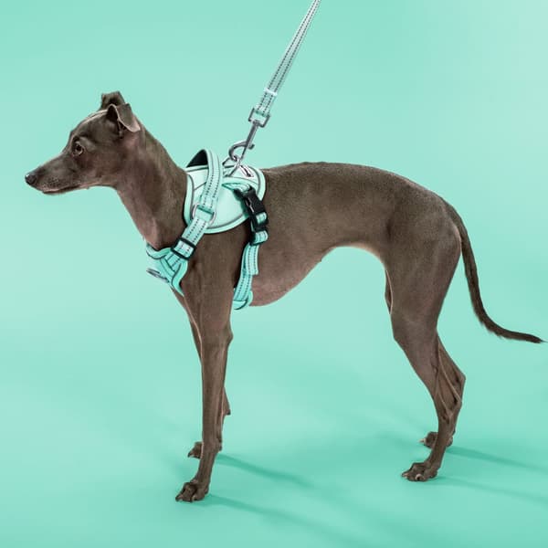 SNORE OG SELER PJ-057 M GREEN