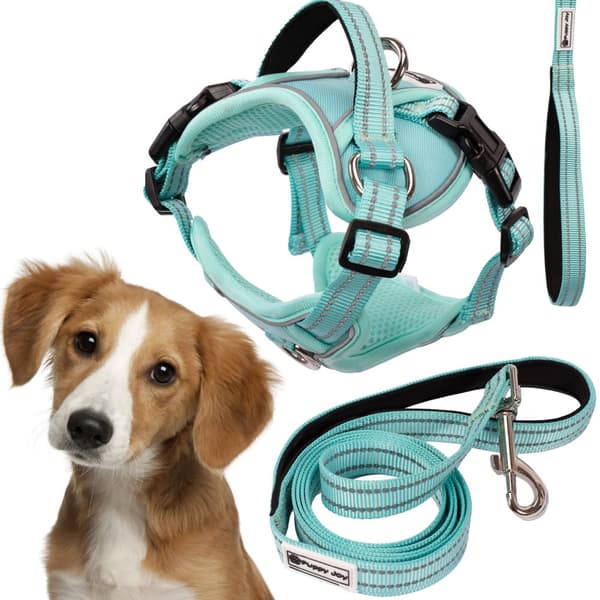 SNORE OG SELER PJ-057 M GREEN