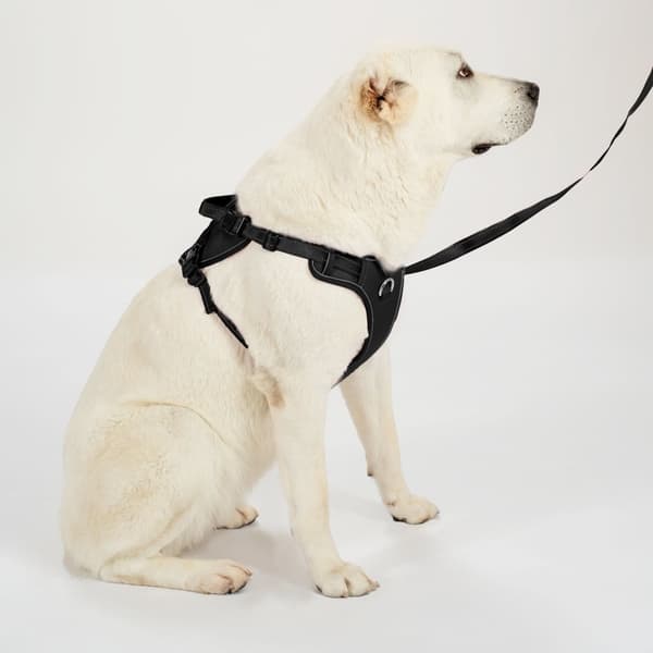 KOPPLEN OCH SELAR PJ-059 L BLACK
