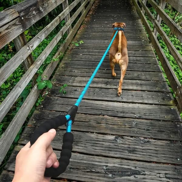 HUNDTRÄNINGSLIN KOPPEL tjock 3M REFLEKTERANDE
