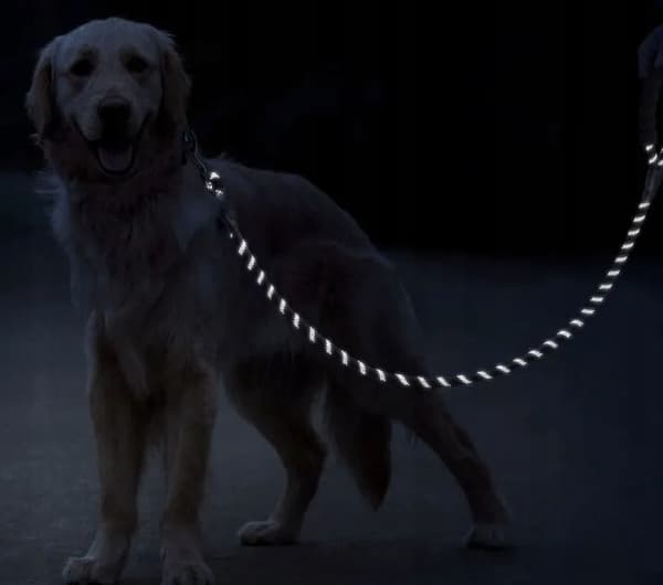 HUNDTRÄNINGSLIN KOPPEL tjock 3M REFLEKTERANDE