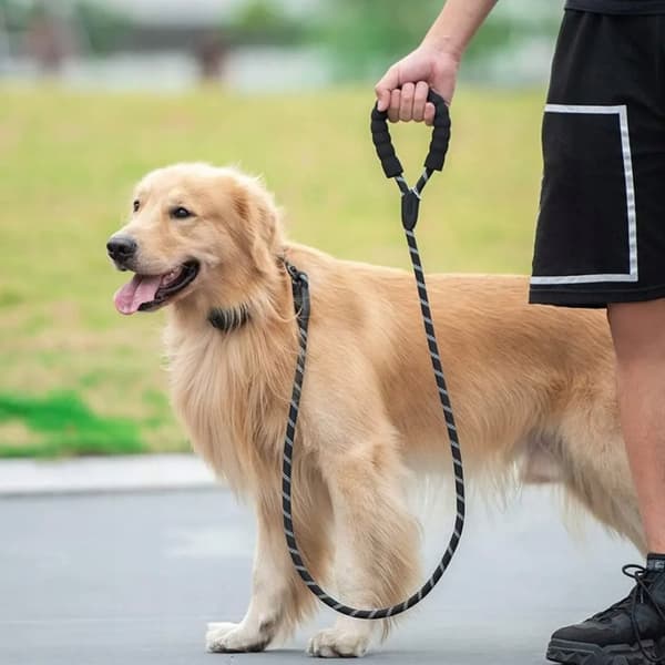 KOPPEL FÖR EN STOR HUND, tjockt REFLEKTIONSREP, 1,5 m