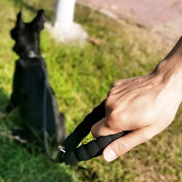 KOIRAN HYVÄKSY VAHVA KÖYSI PAKSUT HEIJASTINKÖYSI 3m
