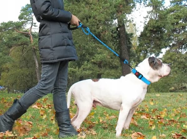 HUNDESIN STÆRKT TYKT REFLEKTSTOV 1,5m