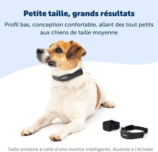 PetSafe Ultrakompakt och uppladdningsbart NanoBark-barkhalsband för små och medelstora hundar, vattentätt och robust