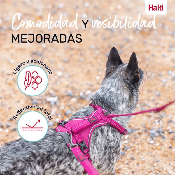 Hundsele Company of Animals Bordeaux M 35-55 cm
