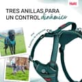 Miniatyrbild 6 av 6: Hundsele Company of Animals Turkos XS 20-32 cm