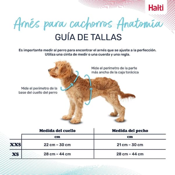 Hundesele Company of Animals Grå XXS 22-30 cm