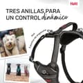 Miniatyrbillede 3 af 6: Hundesele Company of Animals Grå S 28-42 cm